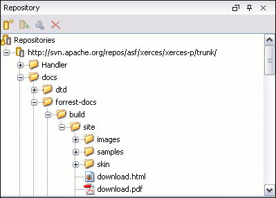 sa_svn_repos_view.gif